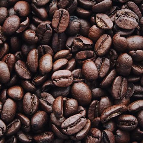 Best decaf coffee beans. Things To Know About Best decaf coffee beans. 